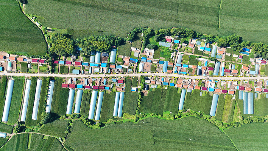 大房身鎮吉旦溝村西紅柿產業 .jpg